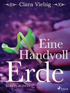 Eine Handvoll Erde (eBook, ePUB) - Viebig, Clara