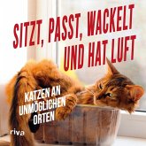 Sitzt, passt, wackelt und hat Luft (eBook, ePUB)