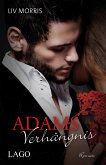 Adams Verhängnis / Adam Kingsley Bd.2 (eBook)