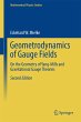 Geometrodynamics of Gauge Fields - Bild 1