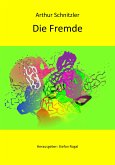 Die Fremde (eBook, ePUB)