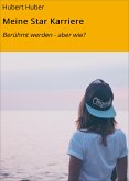 Meine Star Karriere (eBook, ePUB)