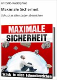 Maximale Sicherheit (eBook, ePUB)