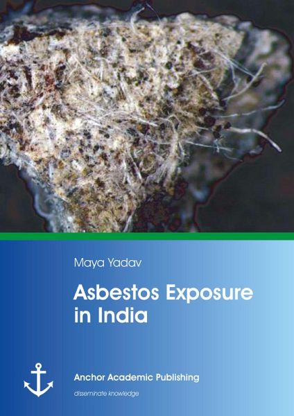 Asbestos Exposure in India (eBook, PDF) Asbestos Exposure in India (eBook, PDF)
