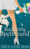 Suddenly Spellbound (The Ivie McKie Chronicles, #2) (eBook, ePUB)