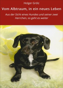 Vom Albtraum, in ein neues Leben (eBook, ePUB) - Grölz, Holger