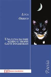 Una luna da fare schifo e troppi gatti innamorati (fixed-layout eBook, ePUB) - Orrico, Luca