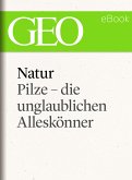 Natur: Pilze - die unglaublichen Alleskönner (eBook, ePUB)