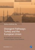 Divergent Pathways: Turkey and the European Union (eBook, PDF)