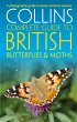 British Butterflies and Moths - Bild 1