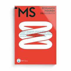Cover Lechner, C: Schlauchfiguren im EMS & TMS 2017