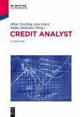 Credit Analyst (eBook, ePUB)
