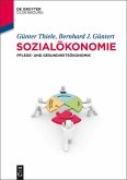 Sozialökonomie (eBook, ePUB)