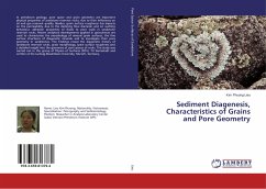 Sediment Diagenesis, Characteristics of Grains and Pore Geometry