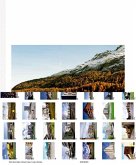 Wohn Raum Alpen / Abitare le alpi / Living in the Alps (eBook, PDF)
