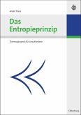 Das Entropieprinzip (eBook, PDF)