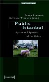 Public Istanbul (eBook, PDF)