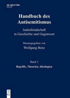 Begriffe, Theorien, Ideologien (eBook, PDF)
