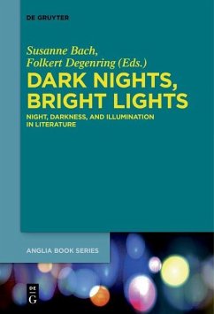 Dark Nights, Bright Lights (eBook, PDF)