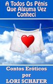 todos os penis que alguma vez conheci (eBook, ePUB)