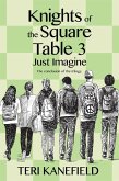Knights of the Square Table 3: Just Imagine (eBook, ePUB)