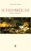 Schiffbrüche (eBook, ePUB)