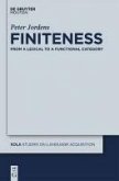 Finiteness (eBook, PDF)