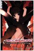 Das Schreinmädchen mit dem heiligen Feuer / Accel World - Novel Bd.6