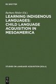 Learning Indigenous Languages: Child Language Acquisition in Mesoamerica (eBook, PDF)