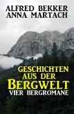 Geschichten aus der Bergwelt: Vier Bergromane (eBook, ePUB)