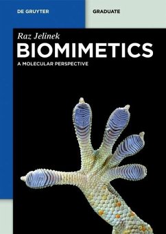 Biomimetics (eBook, PDF) - Jelinek, Raz