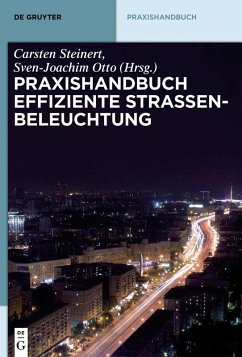 Praxishandbuch effiziente Straßenbeleuchtung (eBook, ePUB)