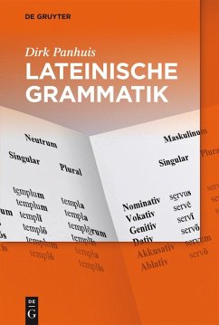 Lateinische Grammatik (eBook, ePUB) - Panhuis, Dirk