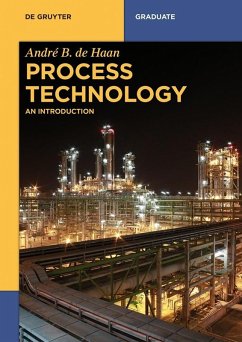 Process Technology (eBook, PDF) - Haan, André B. de