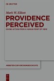 Providence Perceived (eBook, ePUB)