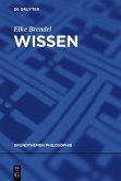 Wissen (eBook, PDF)