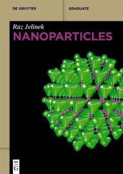 Nanoparticles (eBook, PDF) - Jelinek, Raz