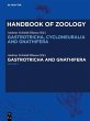 Gastrotricha and Gnathifera (eBook,... - Bild 1