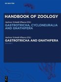 Gastrotricha and Gnathifera (eBook, ePUB)