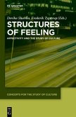 Structures of Feeling (eBook, ePUB)