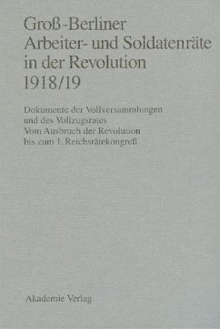 Groß-Berliner Arbeiter- und Soldatenräte in der Revolution 1918/19 (eBook, PDF)