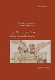 A Transitory Star (eBook, PDF)