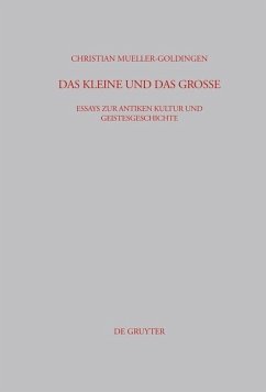 Das Kleine und das Große (eBook, PDF) - Mueller-Goldingen, Christian