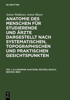 Allgemeine Anatomie, Rücken, Bauch, Becken, Bein (eBook, PDF) - Waldeyer, Anton; Mayet, Anton