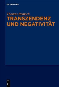 Cover Transzendenz und Negativität (eBook, PDF)