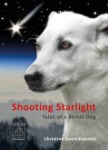 Shooting Starlight