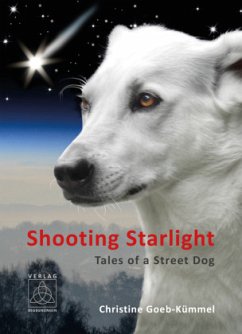 Shooting Starlight - Goeb-Kümmel, Christine