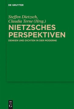 Nietzsches Perspektiven (eBook, PDF)