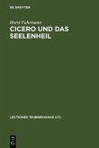 Cicero und das Seelenheil (eBook, PDF)