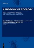 Volume 2: Morphology and Systematics (Elateroidea, Bostrichiformia, Cucujiformia partim) (eBook, PDF)